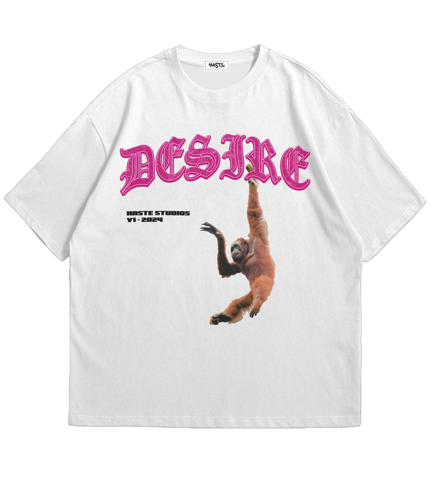 Desire Oversized T-shirt