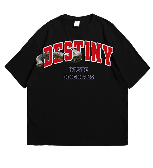 Destiny Oversized T-shirt